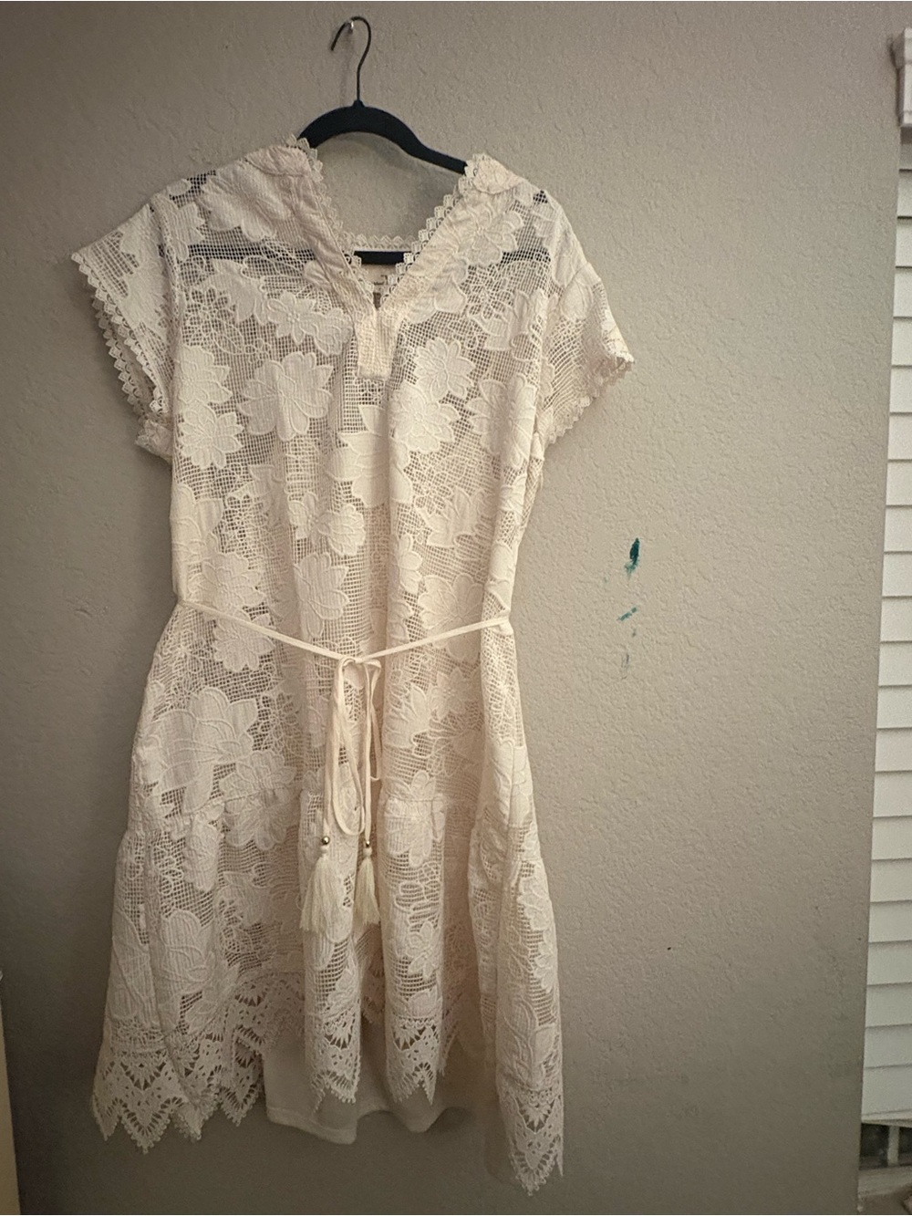 Cream Lace V-Neck Tie-Waist Dress